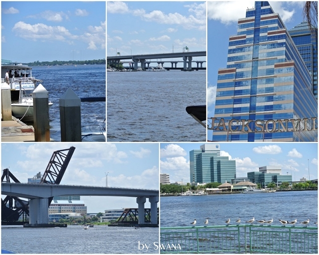 • on tour • einen Tag nichts tun in Jacksonville • Nachmittagsspaziergung