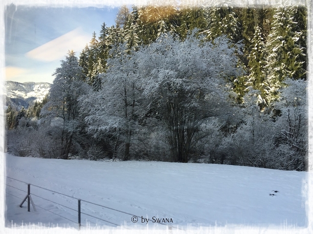 • on tour • Winter kann so schön sein • Wochenende • alles eingeschneit, wie es sich gehört