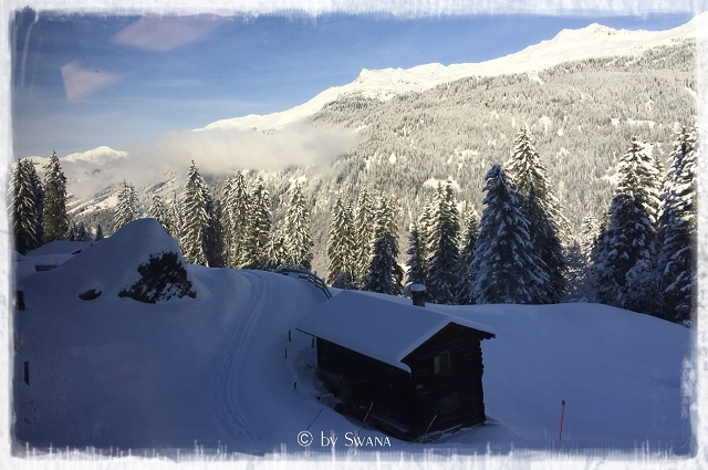 • on tour • Winter kann so schön sein • Wochenende • Blick aus dem Zug