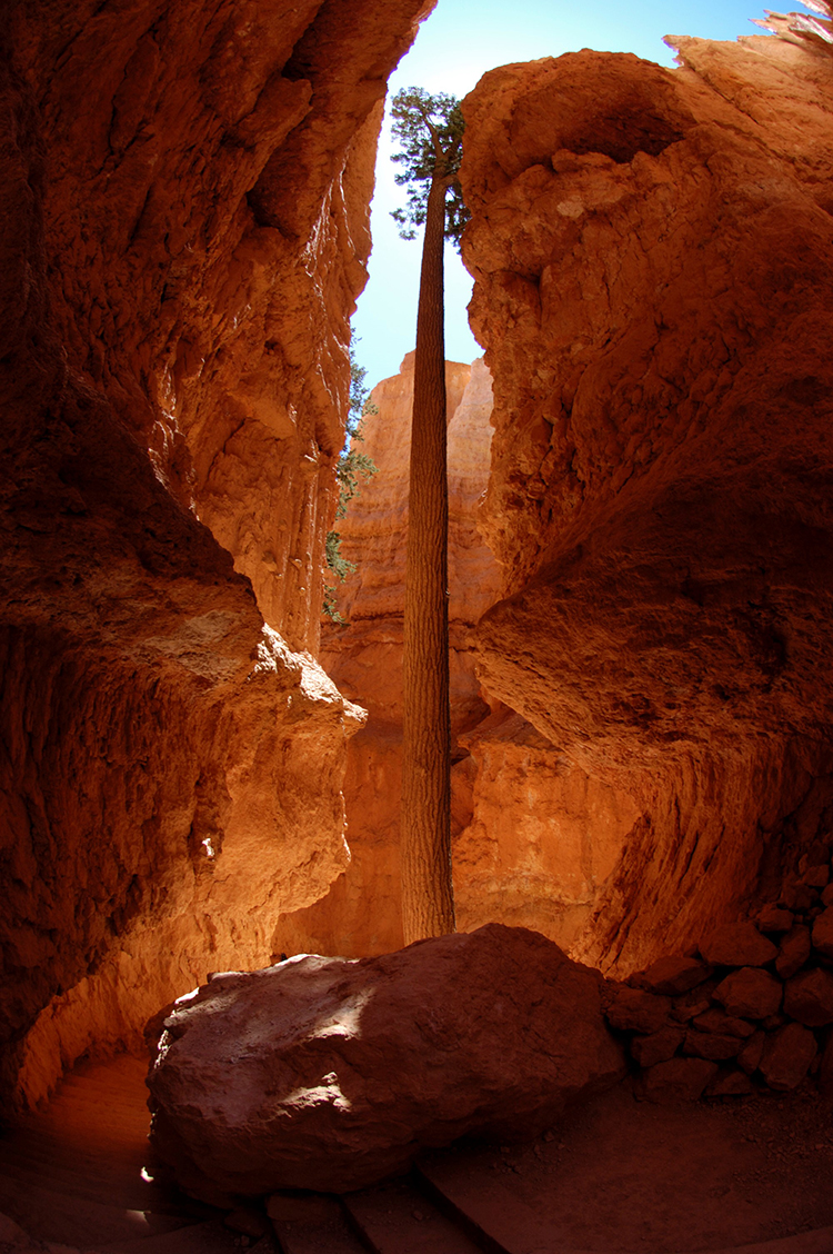 tell a story • zu Fuss unterwegs • Bryce Canyon