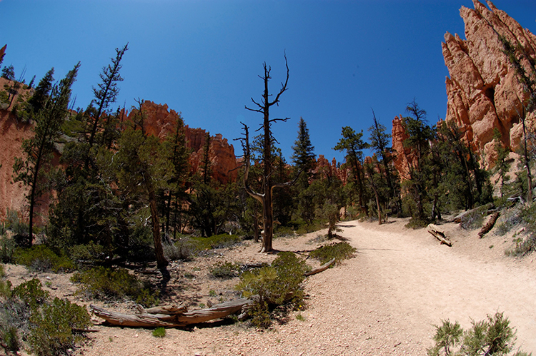 • tell a story • zu Fuss unterwegs • Bryce Canyon