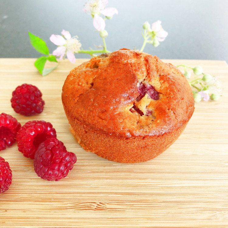 • lecker • Himbeermuffins und einen Blick in meinen Garten • laktosefrei